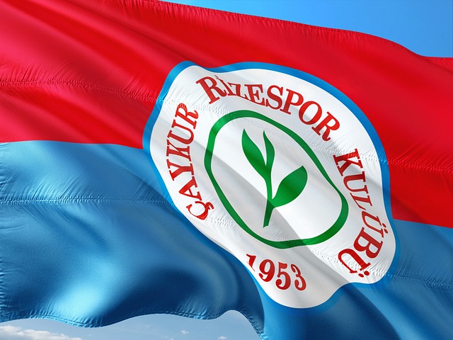 对方防线显 对方防线显