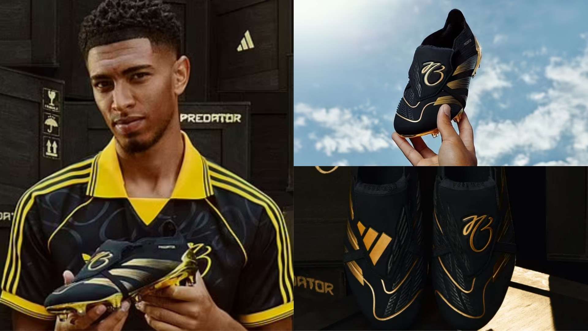 份沉穩與智 份沉穩與智